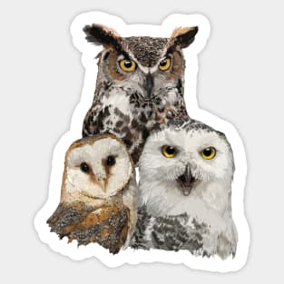 Owls and owl Sticker